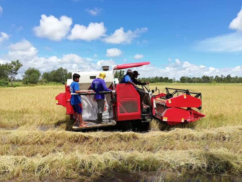 Dinas Tanaman Pangan dan Hortikultura Kabupaten Paser mencatat bahwa di tengah merebaknya virus pandemi Covid-19, para petani di kabupaten tersebut tetap melakukan panen raya padi. 