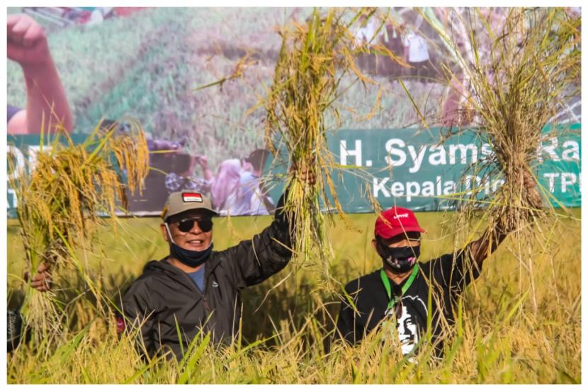 Dinas TPH (Tanaman Pangan dan Hortikultura) Provinsi Kalimantan Selatan, mendukung kegiatan petani milenial di Kota Banjarbaru dan daerah lainnya dalam mengembangkan tanaman hortikultura.