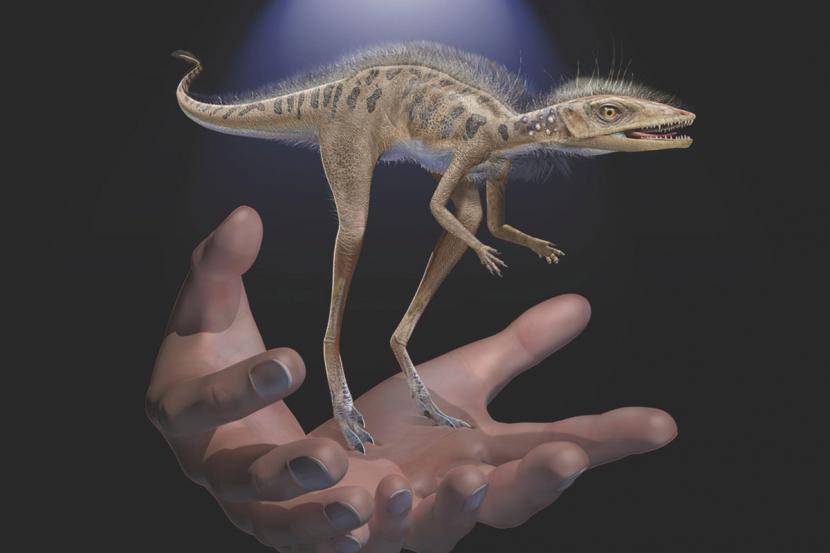 Dinosaurus mini. ilustrasi