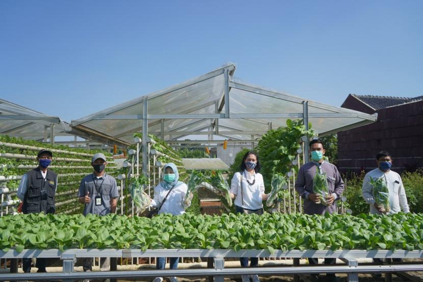 Direksi Kimia Farma dan petani binaan Kimia Farma mengunjungi kebun hidroponik BMH di Pesantren Hidayatullah Depok, Jumat (17/7).
