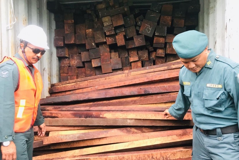 Petugas mengamankan kayu ilegal (ilustrasi) 