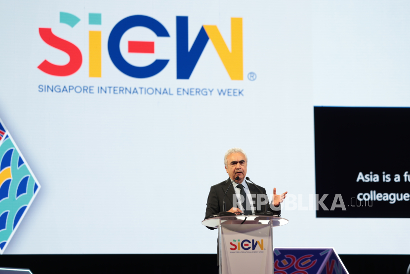 Fatih Birol: Indonesia Berpotensi Jadi Pusat Energi Gas Alam di Kawasan ASEAN