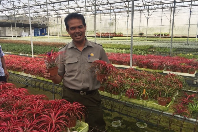 Direktur Jenderal (Dirjen) Hortikultura, Kementan, Suwandi, Rabu (21/11).