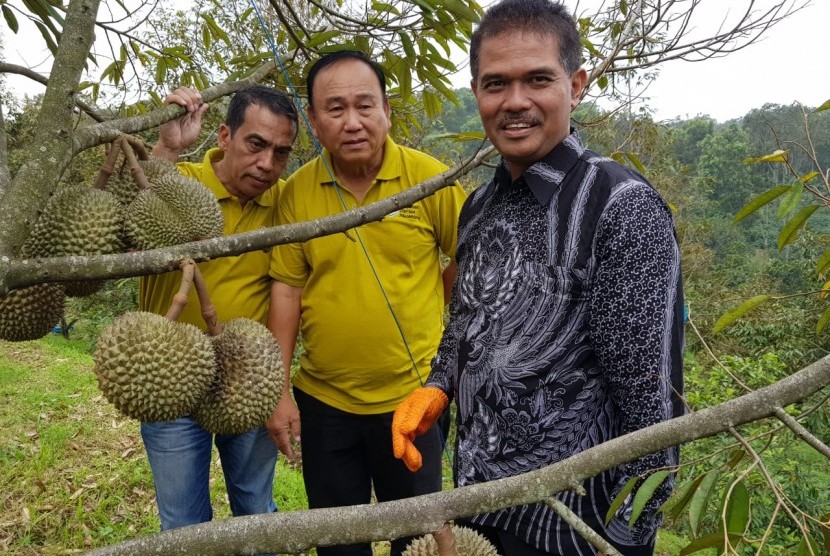 Direktur Jenderal Hortikultura Kementan, Suwandi dalam acara panen dan pesta durian bersama durian mania di Trawas, Mojokerto, Jawa Timur, Jumat (8/2). 