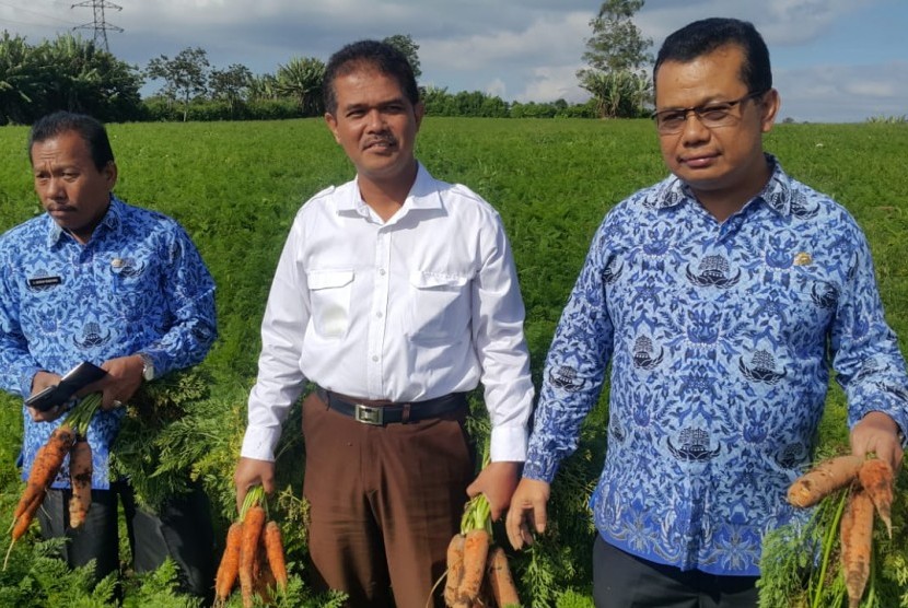 Direktur Jenderal Hortikultura Kementan, Suwandi dalam kegiatan uji coba wortel unggul di Berastagi, Karo, Kamis (17/1).
