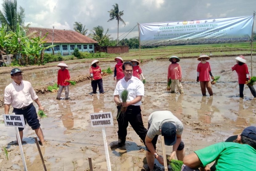 Direktur Jenderal Hortikultura, Kementerian Pertanian (Kementan), Suwandi dalam acara Gerakan Percepatan Tanam Padi Perdana untuk memperingati Hari Pahlawan di Desa Kuntili, Kecamatan Sumpiuh, Kabupaten Banyumas, Sabtu (10/11)