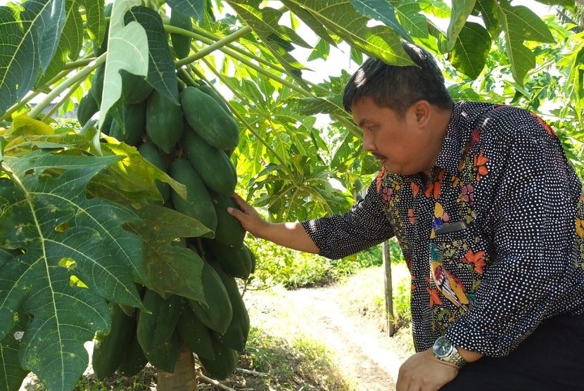 Direktur Jenderal Hortikultura, Prihasto Setyanto, saat melakukan kunjungan lapangan ke sentra produksi hortikultura di Kecamatan Manggar Kota Balikpapan, Sabtu (31/8).
