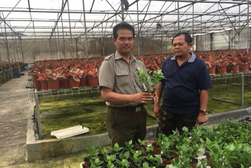 Direktur Jenderal Hortikultura, Suwandi saat mengunjungi PT Florion, perusahaan budidaya sekaligus eksportir tanaman hias di Bogor