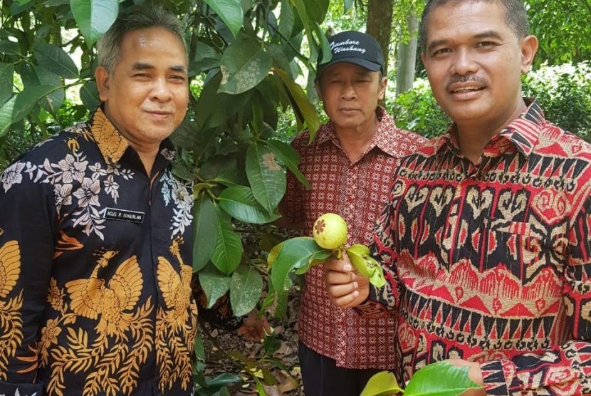 Direktur Jenderal Hortikultura, Suwandi saat mengunjungi sentra produksi benih hortikultura di Purwakarta, Jumat (28/12).