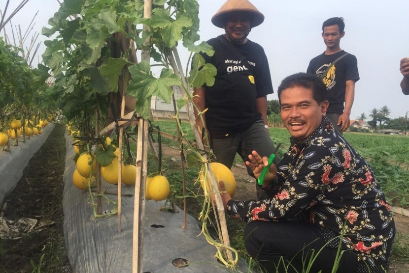 Direktur Jenderal Hortikultuta Kementerian Pertanian (Kementan), Suwandi saat meninjau lahan pertanian perkotaan seluas 26 hektare yang dikelola petani muda di Kampung Rawa Lini, Teluk Naga, Tangerang, Banten, Rabu (7/11)