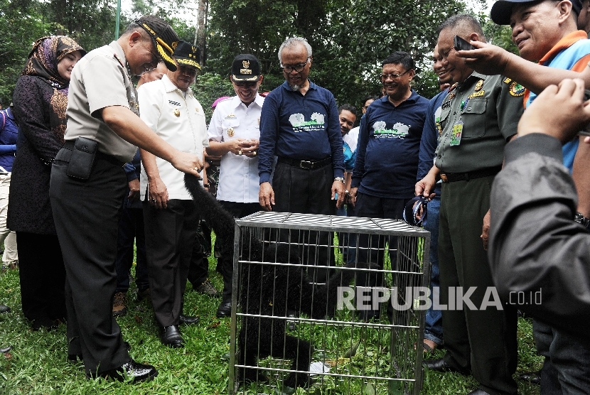 Direktur Jenderal Konservasi Sumber Daya Alam dan Ekosistem Kementerian Kehutanan Tachrir Fathoni (keempat kiri) menyerahkan hewan siamang untuk dilepasliarkan di Taman Nasional Way Kambas (TNWK) Lampung Timur, Rabu (27/7)