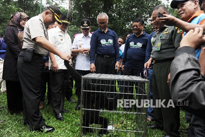 Taman Nasional Way Kambas Makin Diminati Pengunjung