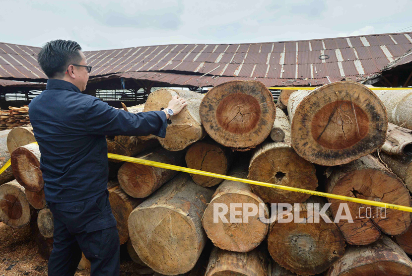 Direktur Jenderal Penegakan Hukum, Kementerian Lingkungan Hidup dan Kehutanan (KLHK), Rasio Ridho Sani mengamati barang bukti kayu ilegal logging.