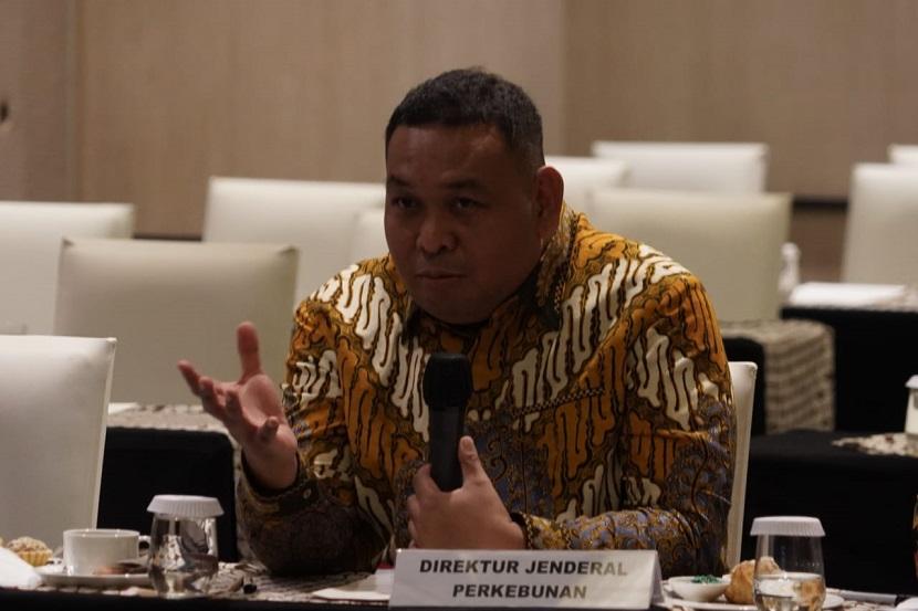 Direktur Jenderal Perkebunan Kementan, Andi Nur Alam Syah menjelaskan mengenai pencapaian .program Peremajaan Sawit Rakyat (PSR) selama tahun 2022.