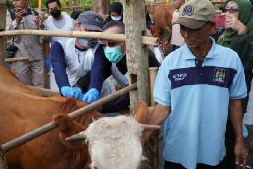 Direktur Kesehatan Masyarakat Veteriner Kementerian Pertanian drh. Syamsul Maarif, M.Si meninjau vaksinasi hewan ternak kambing dan sapi di Padukuhan Kropyak, Kalurahan Candirejo, Kapanewon Semanu, Kabupaten Gunungkidul, Kamis (13/7/2023). 