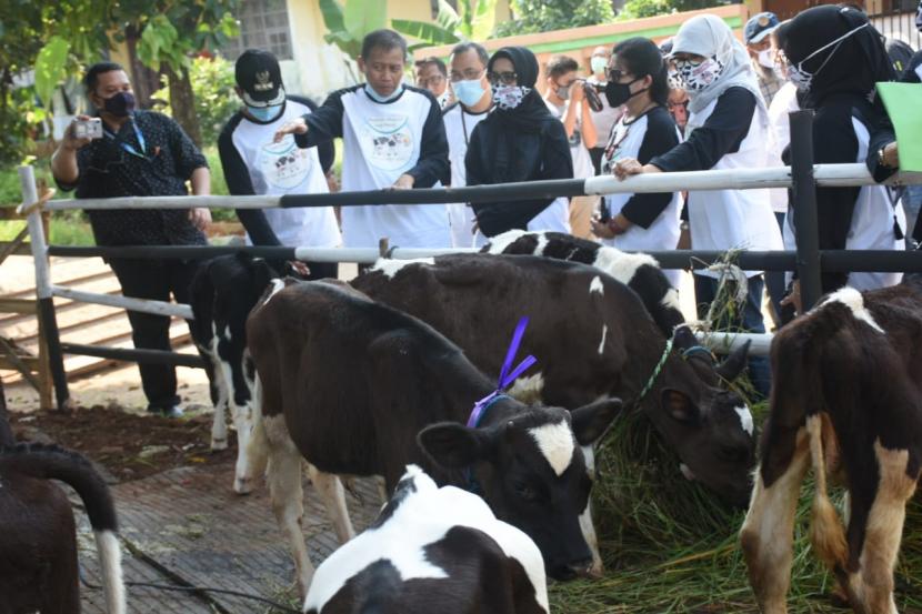 Direktur Perbibitan dan Produksi Ternak, Sugiono mewakili Ditjen PKH Kementan RI menyampaikan apresiasinya kepada para peternak sapi perah di DKI Jakarta. 