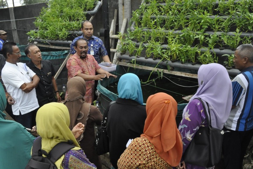 Direktur UMM Farm, Rahmad Pulung Sudibyo (berbatik merah) menjelaskan tentang tanaman organik.