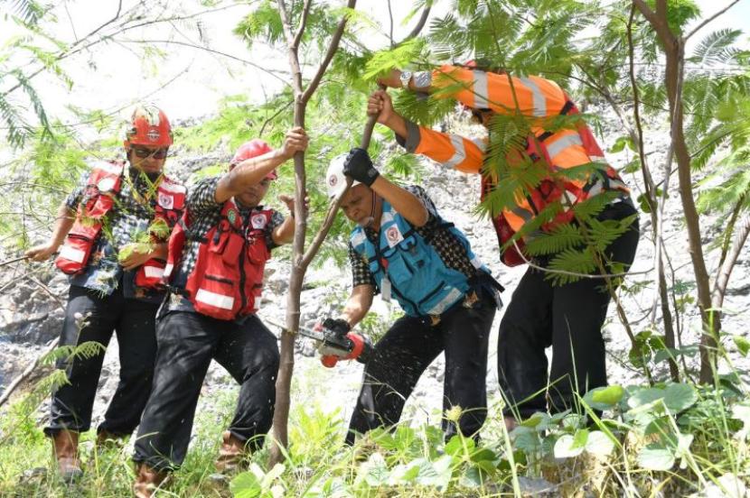 Direktur Utama PT Semen Padang Asri Mukhtar (ketiga kiri) melakukan panen perdana pohon kaliandra merah di lahan reklamasi bekas tambang batu kapur PT Semen Padang. Pohon Kaliandra merah digunakan sebagai substitusi bahan bakar batu bara pada proses produksi semen. 