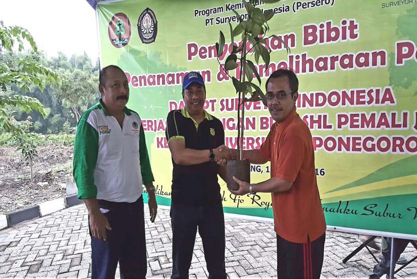 Direktur Utama PT Surveyor Indonesia M Arif Zainuddin (tengah) menyerahkan bibit pohon tanaman keras di Semarang, Jumat (15/4).