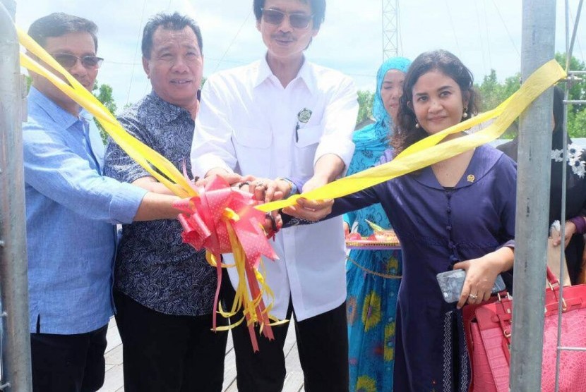 Dirjen EBTKE Kementerian ESDM Rida Mulyana (kedua kanan) dan Anggota Komisi VII DPR RI Ari Yusnita (kanan) saat meresmikan PLTS di Desa Liagu, Kecamatan Sekatak, Kabupaten Bulungan, Kalimantan Utara, akhir pekan lalu.  