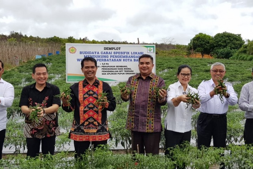 Dirjen Hortikultura Kementerian Pertanian bersama Komisi IV DPR RI melakukan kunjungan kerja ke kawasan cabai Kelompok Tani Maju Mandiri Kelurahan Setokok, Kecamatan Bulang, Kota Batam, Provinsi Kepulauan Riau.