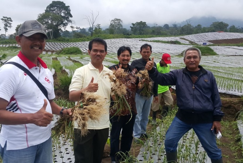 Dirjen Hortikultura Kementerian Pertanian, Suwandi saat mengunjungi sentra bawang putih di Banyuwangi 