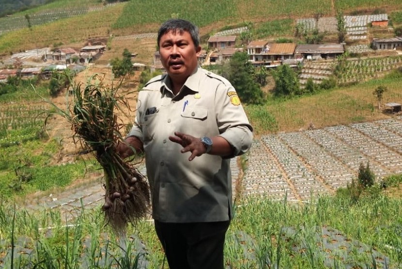 Dirjen Hortikultura Prihasto Setyanto