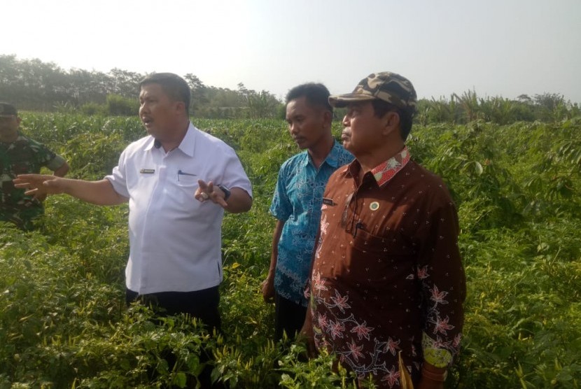 Dirjen Hortikultura Prihasto Setyanto menemui petani cabai