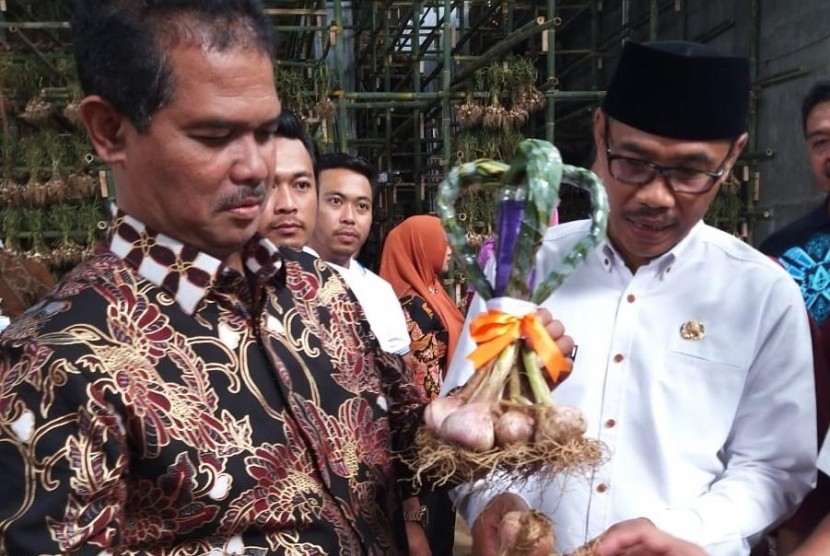 Dirjen Hortikultura Suwandi meninjau lahan pertanian bawang putih