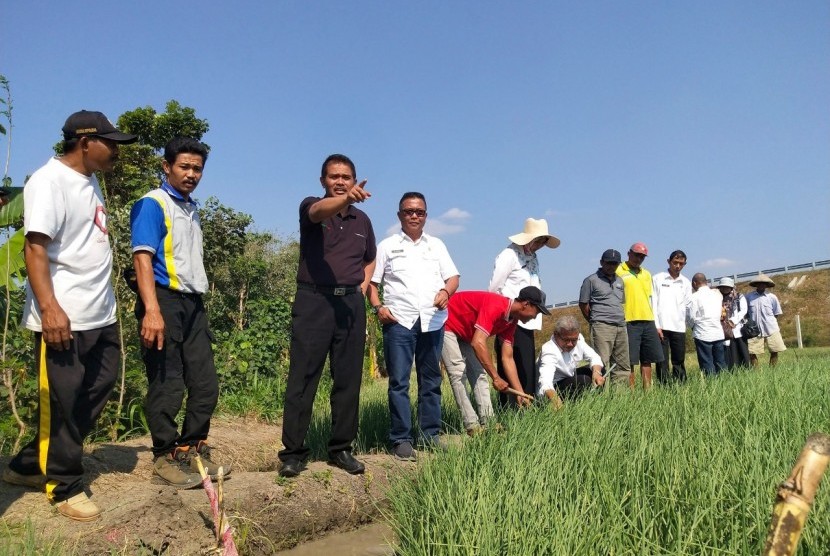 Dirjen Hortikultura Suwandi sedang menunjuk area pertanian bawang di Nganjuk Jawa Timur