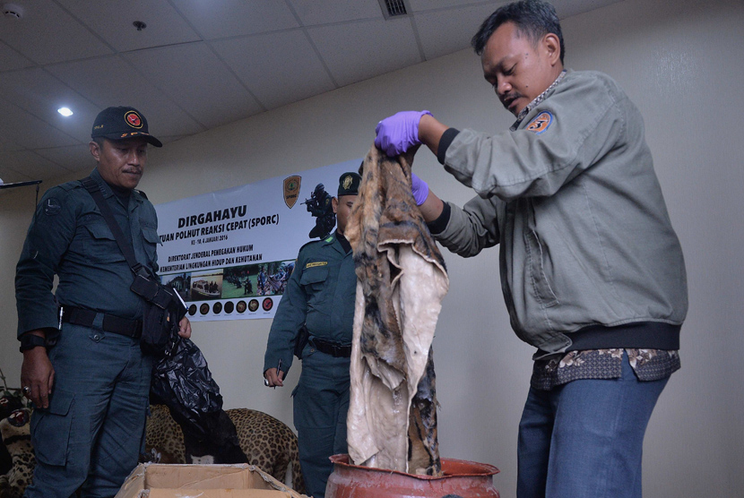 Dirjen Penegakan Hukum LHK Rasio Rido Sani beserta jajaran penegakan hukum KLHK, memberikan keterangan kepada Media terkait hasil operasi penertiban Operasi Penertiban Perdagangan dan Peredaran Satwa Liar Dilindungi  di kawasan Kedoya, Jakarta (15/1).