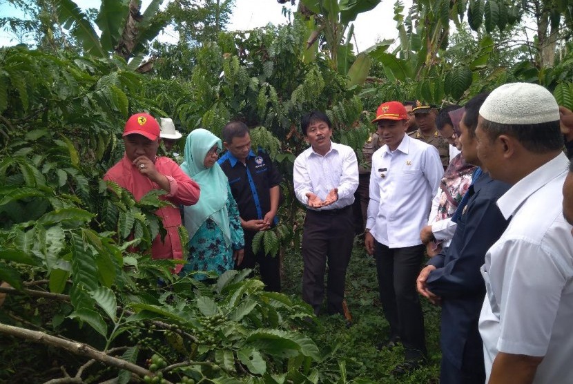Dirjen Perkebunan Kementerian Pertanian Bambang (keempat dari kiri) sedang berbincang dengan para petani kopi di Kabupaten Lampung Tengah, Rabu (31/1).