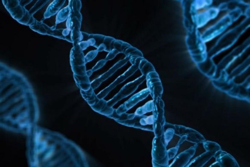 Ditemukan sel yang bisa membuat DNA menjadi muda kembali.