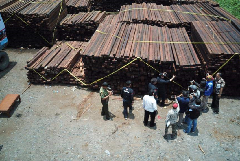 Ditjen penegakkan hukum KLHK di Gersik bersama wartawan meninjau lokasi penangkapan kayu merbau ilegal asal Kep. Aru di Kawasan Industri Surabaya, Februari 2019.
