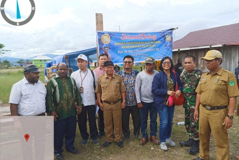 Ditjen PKH Kementan menyerahkan bibit babi untuk dua kabupaten di Papua.