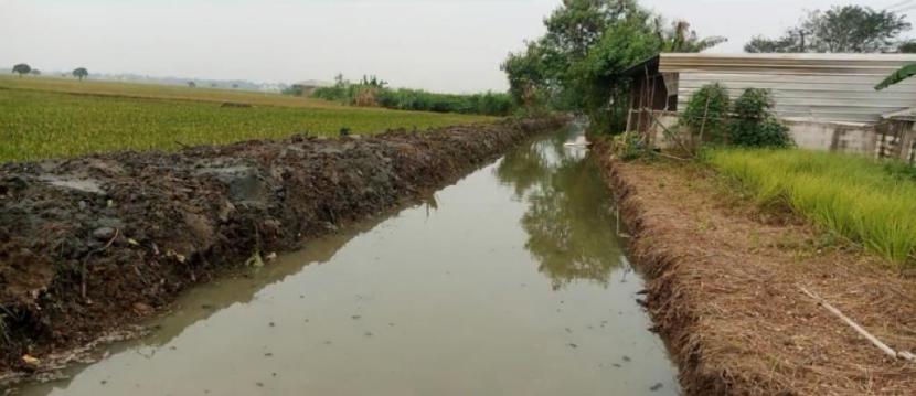Ditjen Prasarana dan Sarana Pertanian Kementerian Pertanian (Kementan) ymelakukan normalisasi irigasi pertanian.