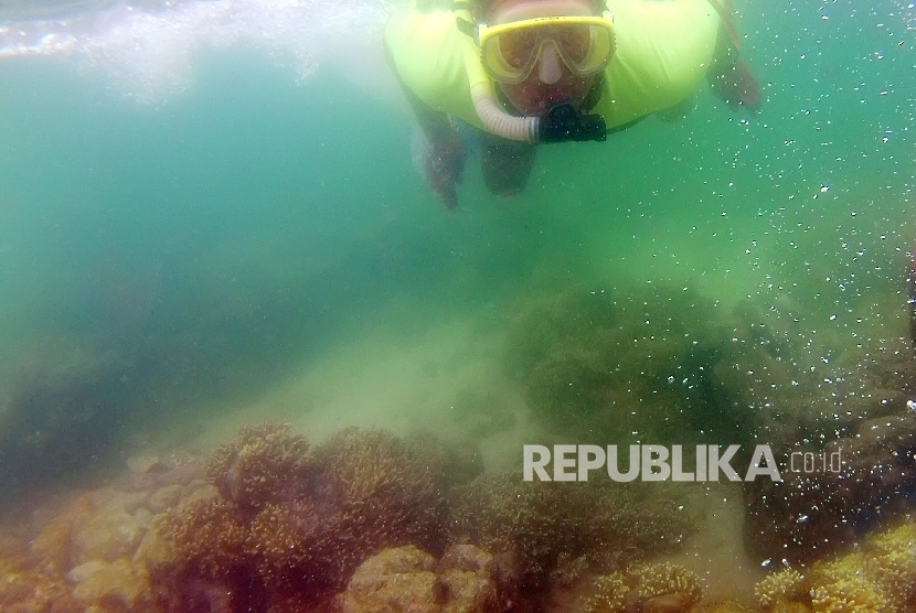 Sejumlah wisatawan bersiap melakukan penyelaman (diving) di perairan wisata bahari pantai Iboih, Sabang, Provinsi Aceh, Jumat (23/12).  (Foto : Antara/Rahmad)