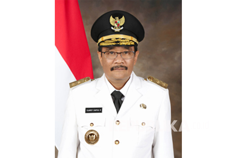 Djarot Saiful Hidayat 