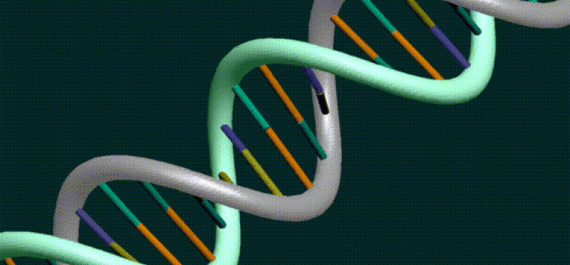 DNA (ilustrasi)