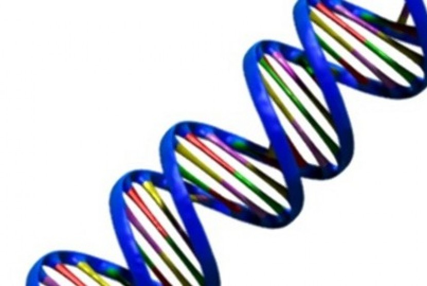 DNA (ilustrasi)