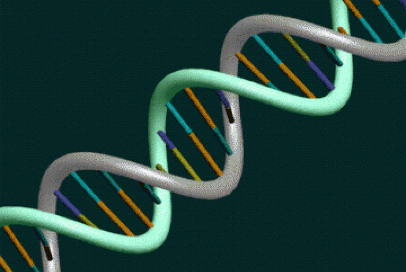 DNA (ilustrasi)