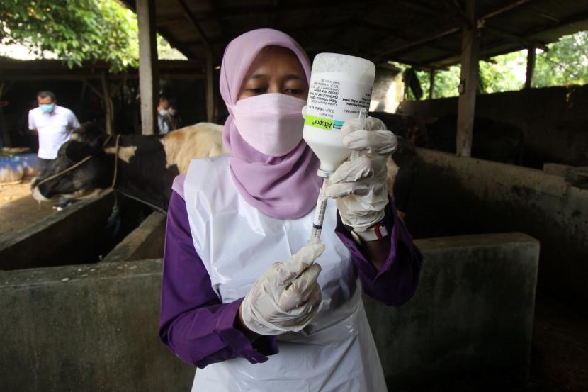 Dokter hewan dari Pusat Veteriner Farma (Putvetma) Surabaya mempersiapkan vaksin wabah penyakit mulut dan kuku (PMK) untuk sapi di kandang kawasan Taman, Sepanjang, Sidoarjo, Jawa Timur, Selasa (14/6/2022).