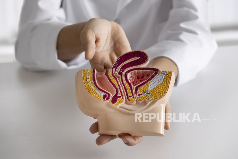 Dokter menjelaskan soal vasektomi (ilustrasi). Menurut dokter, menjadikan vasektomi sebagai salah satu syarat bagi keluarga miskin di provinsi tersebut untuk mendapat bantuan sosial (bansos) dinilai tidak tepat.