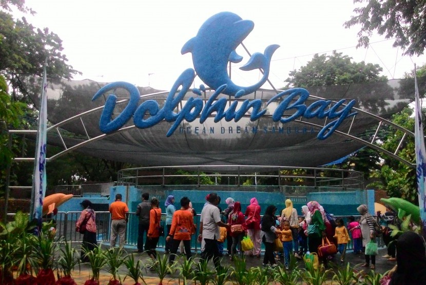 Dolphin Bay Ancol