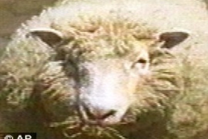 Domba Dolly generasi pertama