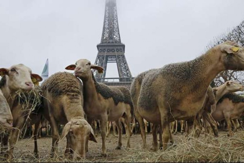 Domba yang dilepas di Menara Eiffel