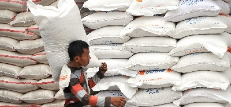 Domestic rice is in stock at Cipinang, Jakarta (ilustration). 