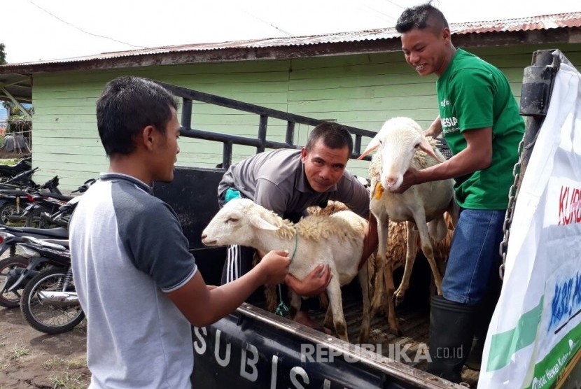  Dompet Dhuafa (DD) menyalurkan hewan kurban sebanyak 53 ekor kambing untuk dikurbankan di 14 desa yang ada di Kecamatan Ketol dan Silih Nara, dataran tinggi Gayo, Kabupaten Aceh Tengah, Provinsi Aceh. 