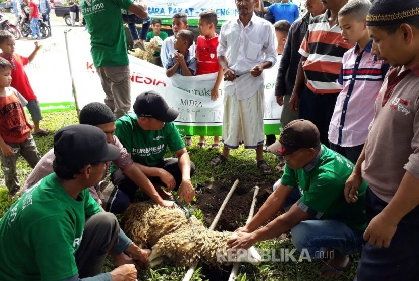  Dompet Dhuafa (DD) menyalurkan hewan kurban sebanyak 53 ekor kambing untuk dikurbankan di 14 desa yang ada di Kecamatan Ketol dan Silih Nara, dataran tinggi Gayo, Kabupaten Aceh Tengah, Provinsi Aceh. 