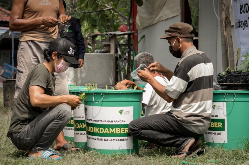 Dompet Dhuafa Jawa Timur bersinergi dengan Lazis PJB Gresik menyelenggarakan pelatihan Budidaya Ikan Lele dan Sayur Kangkung dalam Ember. Istilah lain yang lagi populer di masa pandemi ini dikenal dengan sebutan  Budikdamber (Rabu, 20/5).